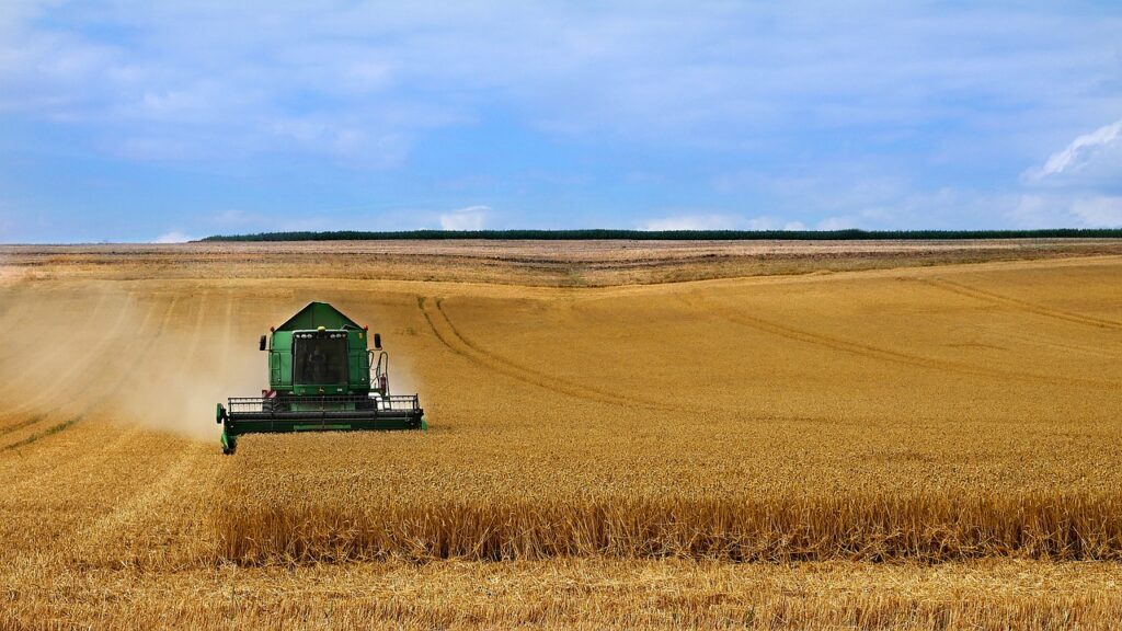 Farmer reviewing paperwork in a field before harvest season
