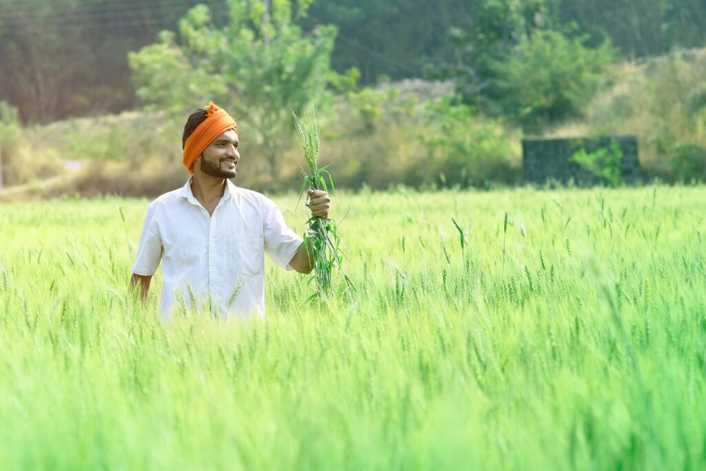 Farmer checking crop growth in a field while holding a clipboard