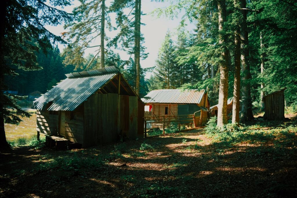 Summer camp in full session with cabins and campers outdoors during peak enrollment