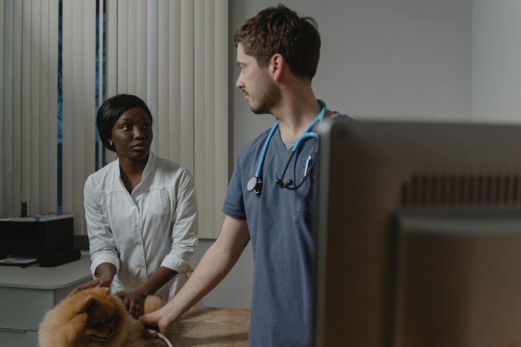 Confident veterinary practice owner standing in a clinic hallway
