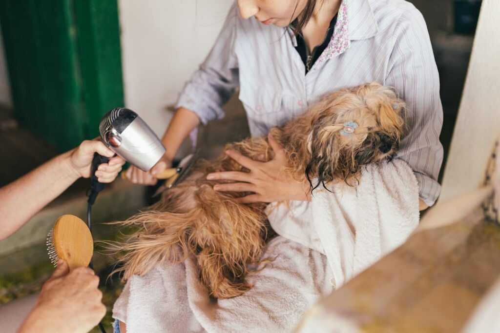 Veterinary technician operating ultrasound equipment with a small dog patient