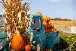 Pumpkin patch owner reviewing financial paperwork at a harvest farm stand