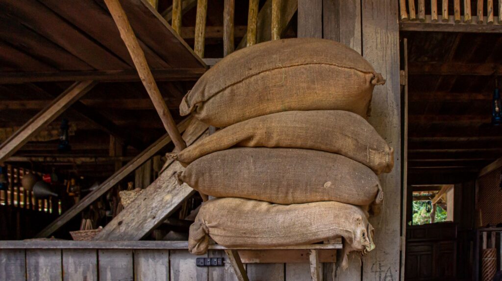 Sacks of green coffee beans stacked in a storage room